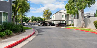 The James Apartments Gallery 90