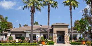 Camino Real Gallery 14