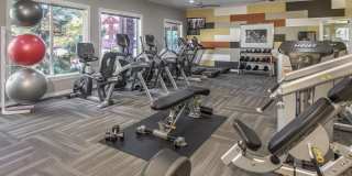 Camden Caley Gallery 24