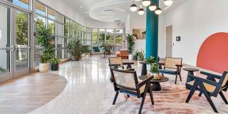 The Kavista Gallery 3