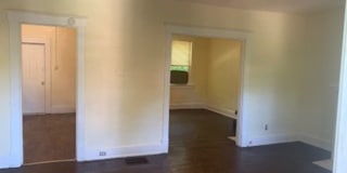 Treetop views in North Avondale Gallery 6