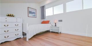 15 Camphor S Gallery 6