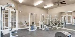 Paradise Falls Gallery 17