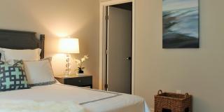 Palmilla Apartments Gallery 1