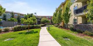 The Artisan Gallery 35