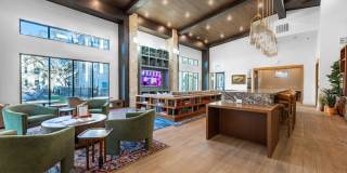 Casagave at Larkspur Gallery 30