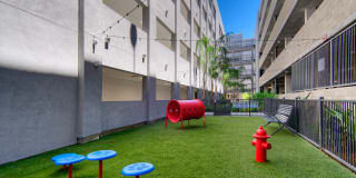 The Lex The Lex Gallery 44