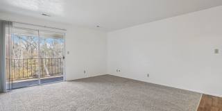 Country Woods Gallery 18