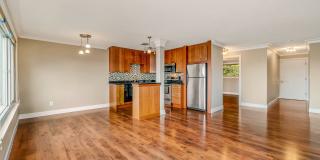 1 Bedroom 1 Bathroom Eastlake Condo W/ Stunning Views Gallery 9