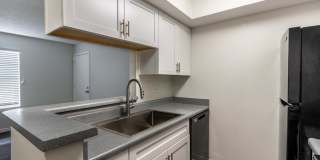 Rise on Cactus Gallery 57