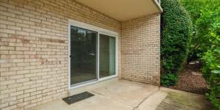 Spacious Ground Floor Condo in Silver Spring Gallery 19