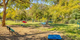 Wray North Dallas Gallery 20