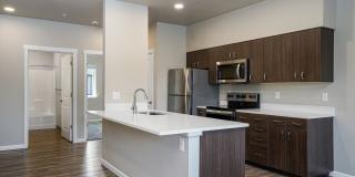 Spring Woods Gallery 13