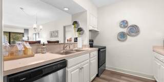 Furnished Resort 2/2 Condo, on Golf Course, Lake Views Gallery 23