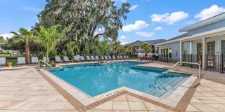 Magnolia at Powell Gallery 6