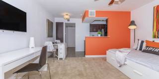 Treehouse Apartments Gallery 5