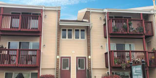 Linden at Berkeley Gallery 7