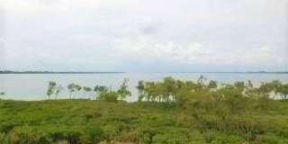 27 HARBOUR ISLE Drive W Gallery 1