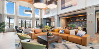 The Oasis at Twin Lakes Gallery 2