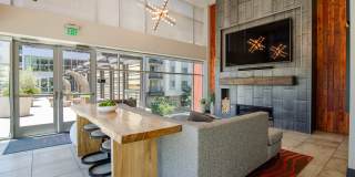 Vive on the Park Gallery 12