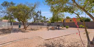 Sonoran Palms Gallery 12