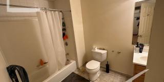 Five Bedroom + Two & half Bath TownHouse * Lower Allston Gallery 8