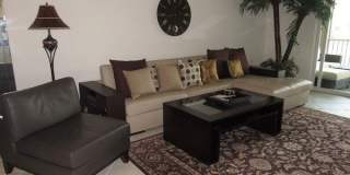 10537 Washingtonia Palm Way Gallery 1