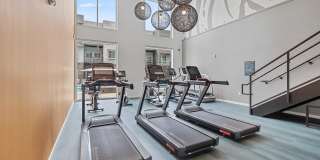 Legacy at Fitz Gallery 17