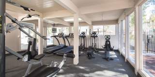 Tarzana Springs Gallery 8