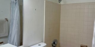 3 Forest Hills Lane Gallery 11