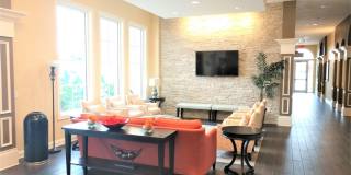 Annual Furnished 2 Bedroom 2 Bathroom with a Flex Room in Island Walk! Gallery 57