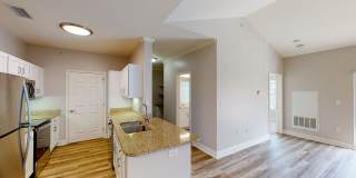 Commons at Boston Road Gallery 8