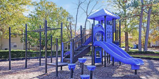 Pine Grove Apartments Gallery 14