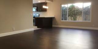 Single Story Stunner! Gallery 7