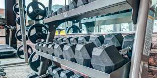 Mason at Alameda Station Gallery 25