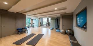 The Emerson Gallery 25