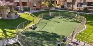 Palms on Scottsdale by Mark-Taylor Gallery 10