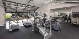 Campbell Run Gallery 11