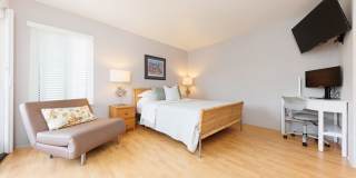 Summer Availability -Steps from La Jolla Shores Beach, Fully Furnished! Gallery 12