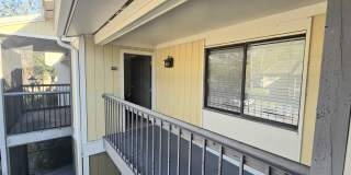 13373 Arbor Pointe Circle Gallery 1
