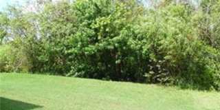 4 Bedroom 2 Bath in Summerfield Freshly painted, New Sod, Tile in all bedrooms! Gallery 12