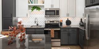 Ashby Twin Lakes Gallery 1