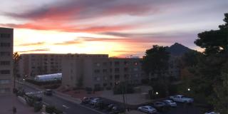 7970 East Camelback Road Gallery 11