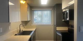 The Pines Apartments Gallery 6