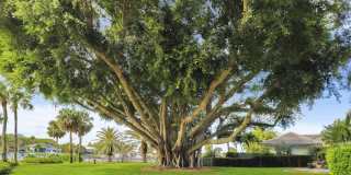 515 Bay Colony Drive N Gallery 43