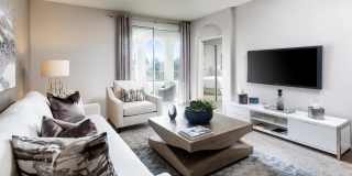 La Jolla Crossroads Gallery 28