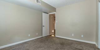 Rise on Cactus Gallery 69