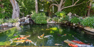 1111 Sierra Alta Way Gallery 69