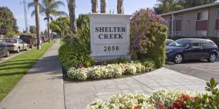 Shelter Creek Apartments Gallery 7