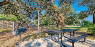 Roots at Boerne Gallery 17